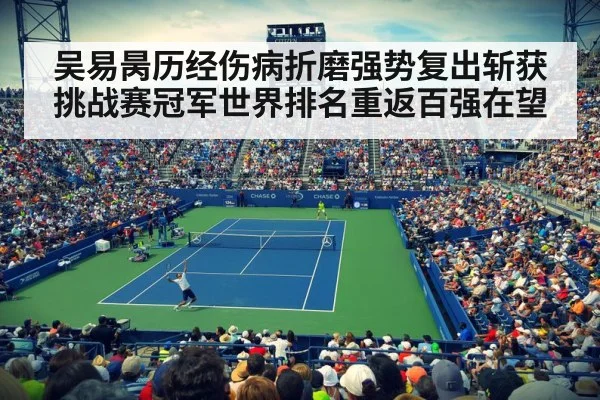 professional tennis match action
